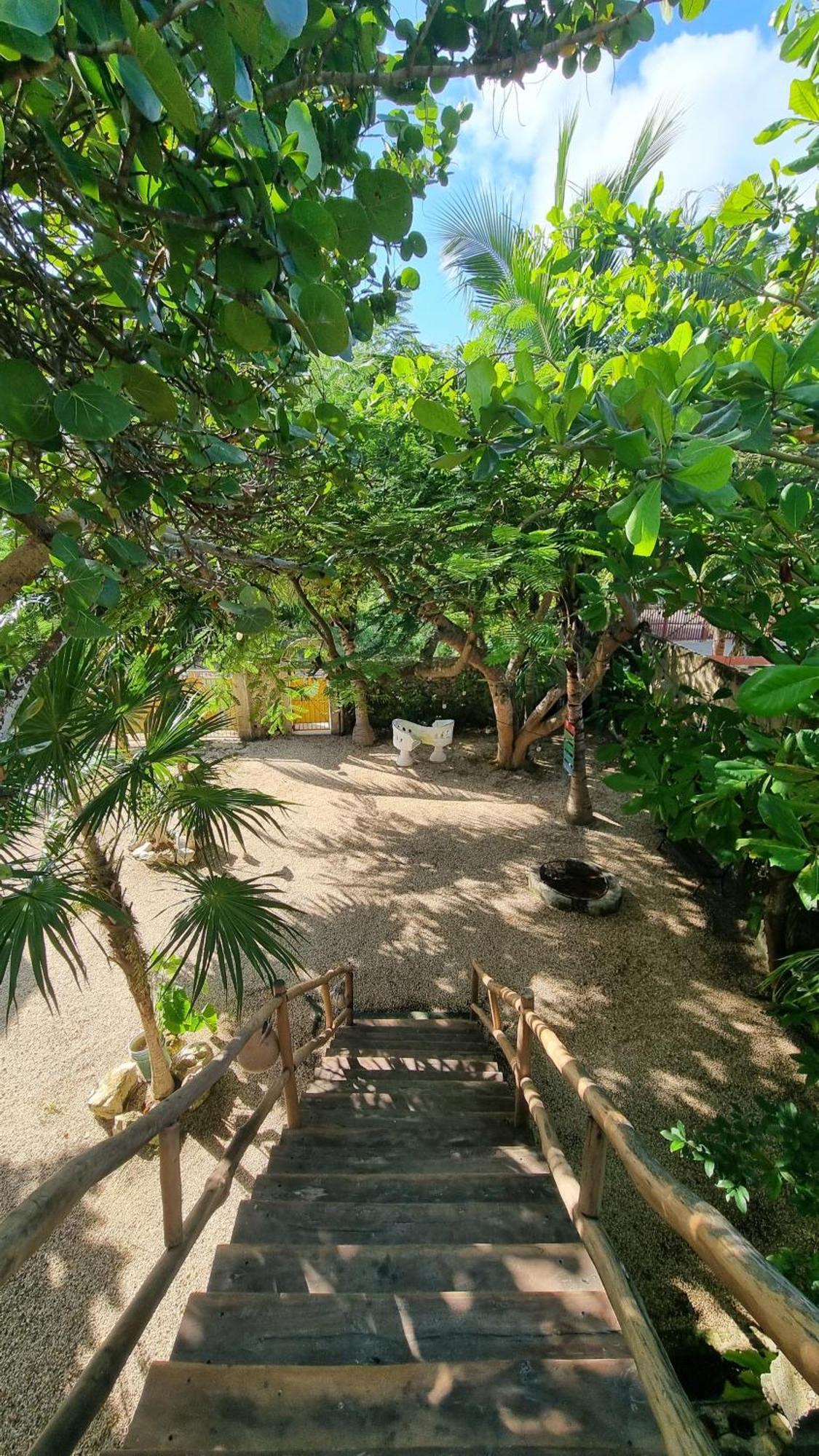 La Casa Del Sol Beachfront *